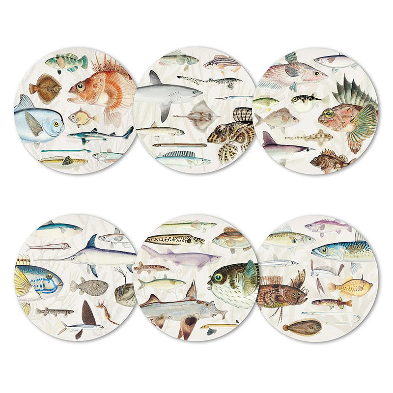 Fishes of New Zealand Placemats - 6 Designs | New Zealand Delivery | Sabato Auckland