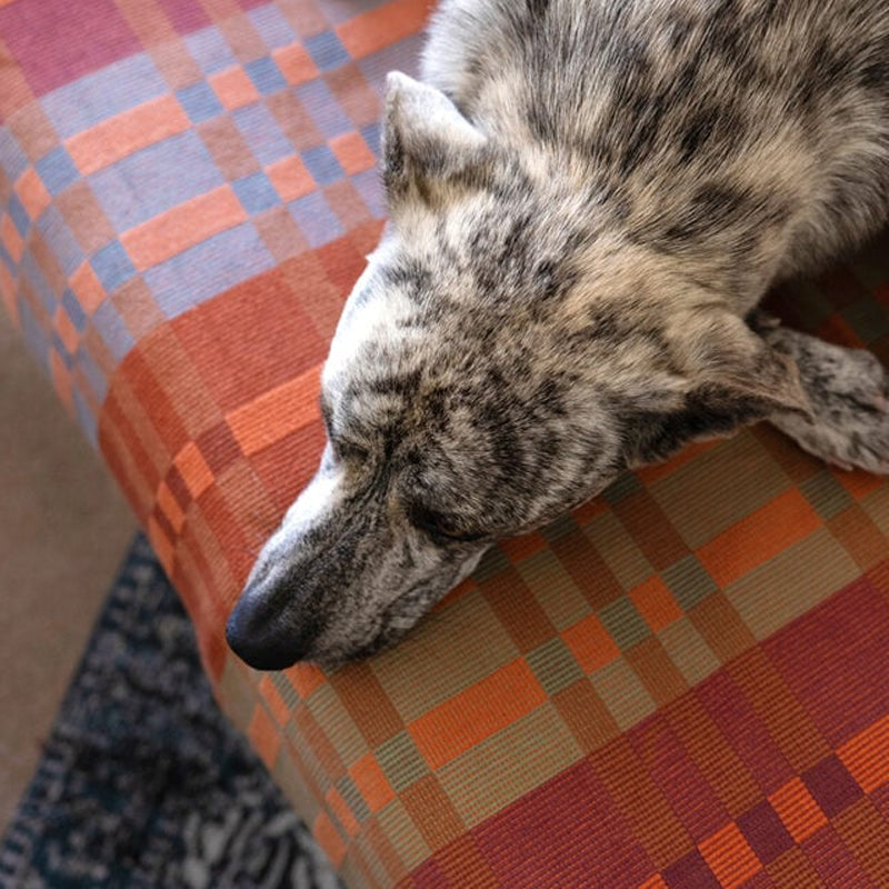 Mungo Fido Dog Blanket ~ Ginger | New Zealand Delivery | Sabato Auckland