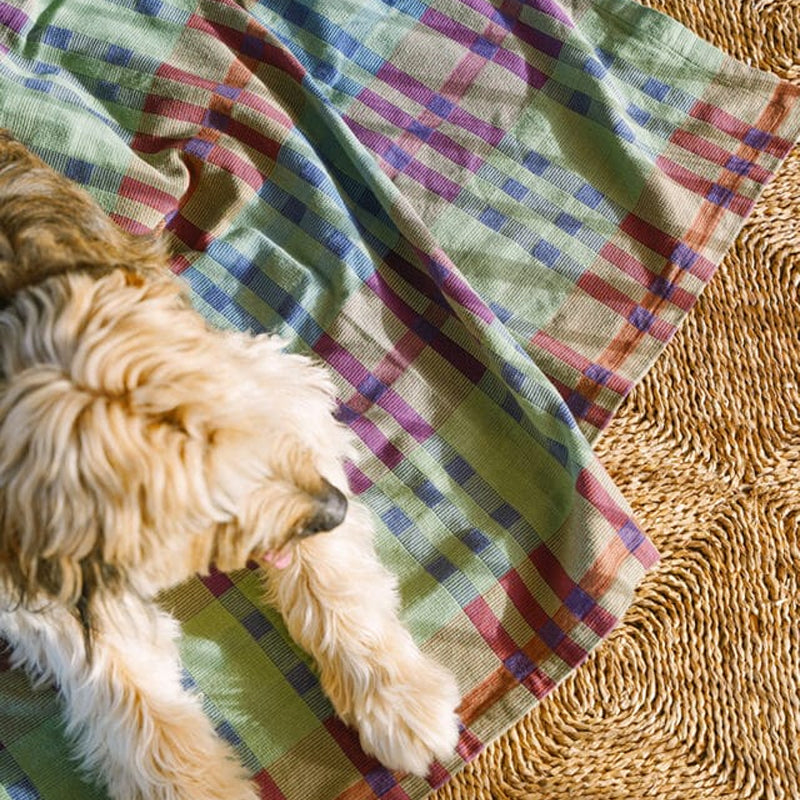 Mungo Fido Dog Blanket ~ Stella | New Zealand Delivery | Sabato Auckland