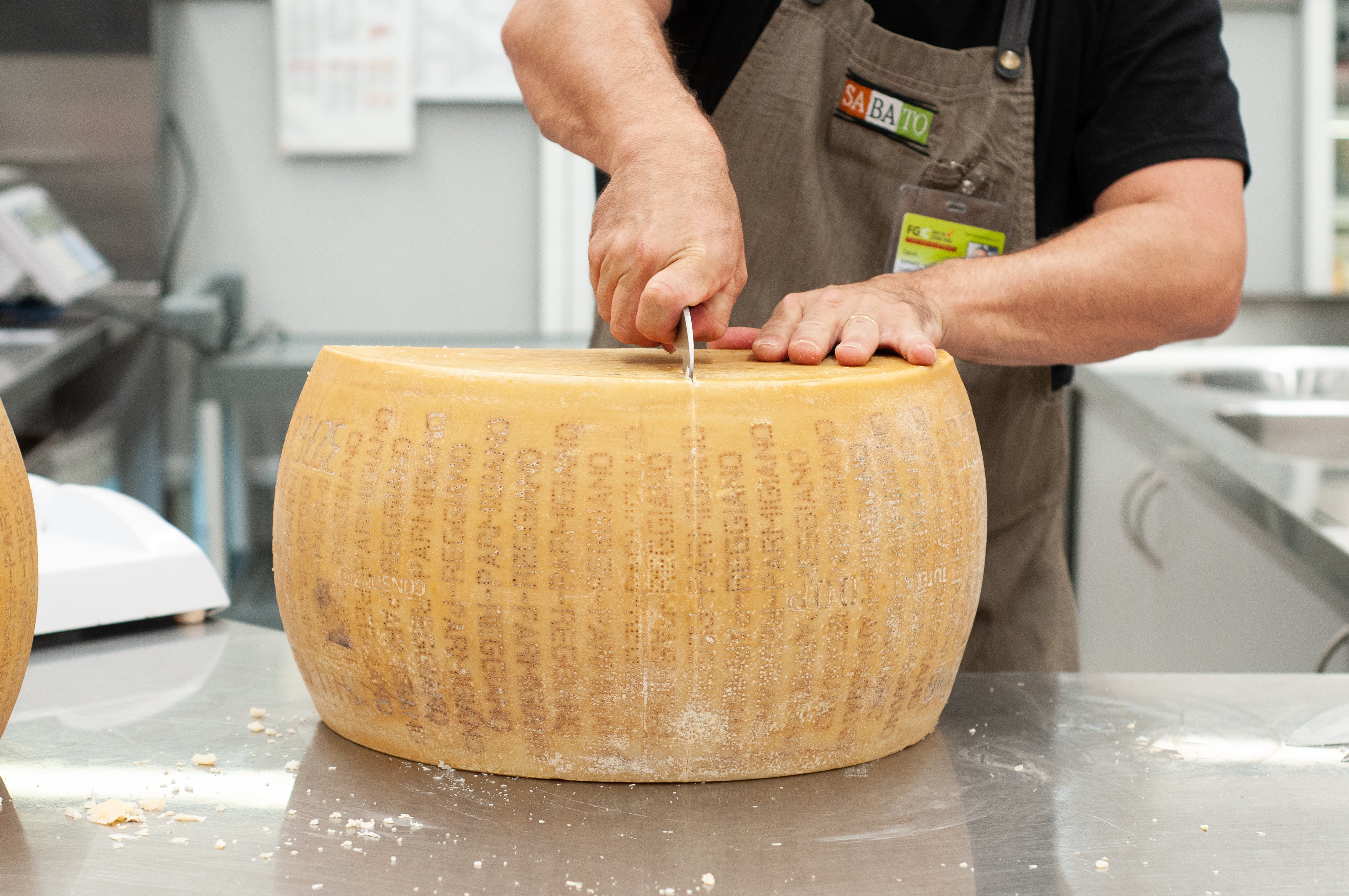 First time cracking a full wheel of Parmigiano Reggiano! This