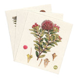 Botanical Illustrations Dishcloths Set of 3 | Sabato Auckland, New Zealand