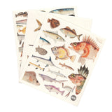 Fishes of New Zealand Dishcloths Set of 3 | Sabato Auckland, New Zealand